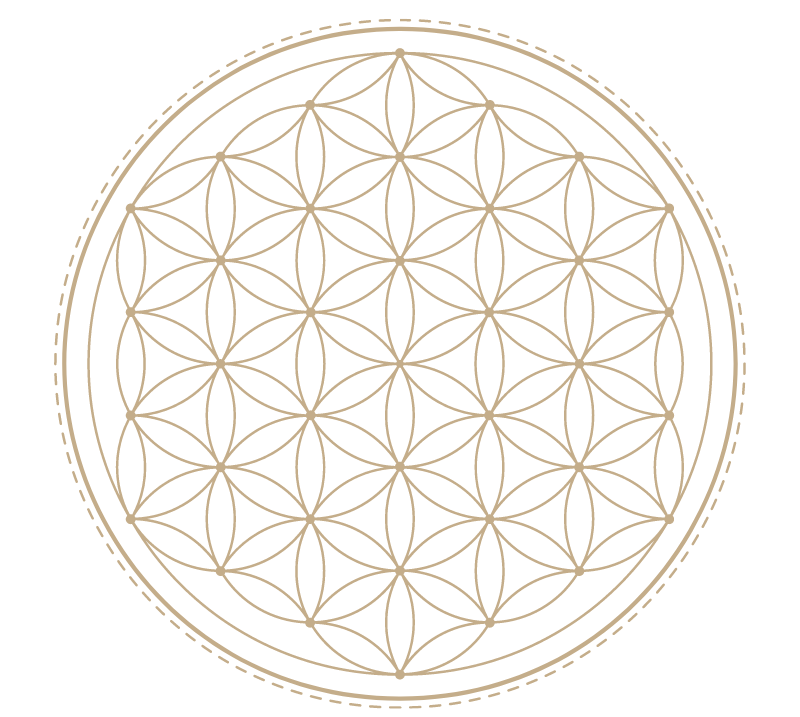 Flower of Life Symbol