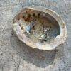 Irtidescent Abalone Shell used as a beautiful holder for burning herbs.