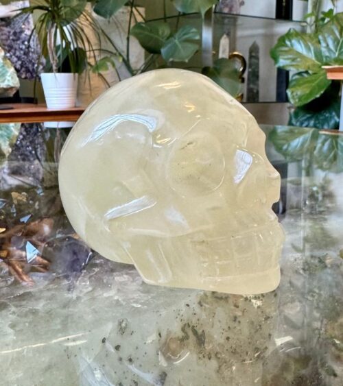 Citrine Crystal Skull: A Beacon of Abundance and Joy