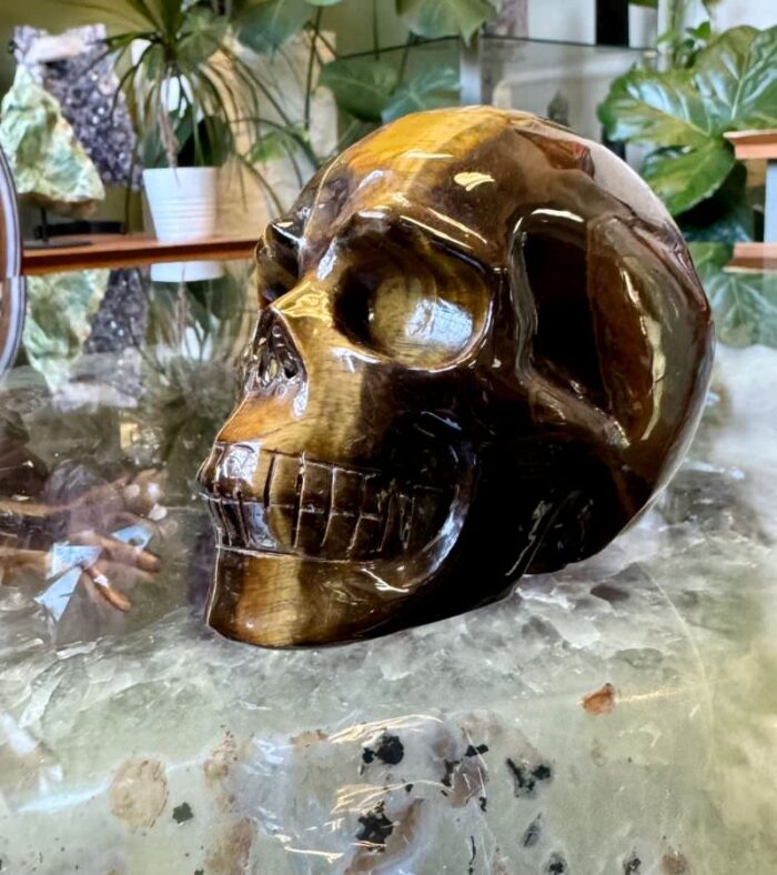 Large Tiger Eye Skull