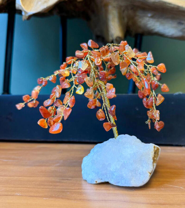 Carnelian Crystal Tree - Energizing Home Decor