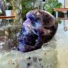 Chevron Amethyst Crystal Skull Details