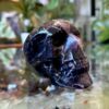 Medium Chevron Amethyst Skull