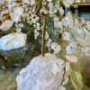 Rose Quartz Crystal WIllow Tree - Image 2