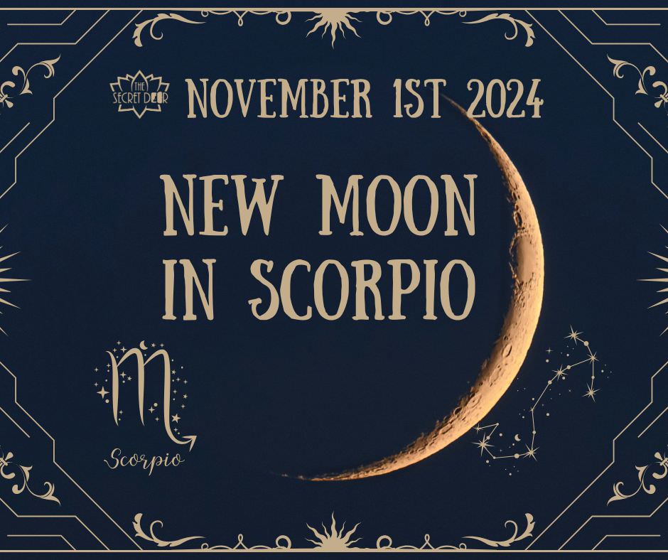 New Moon In SCorpio