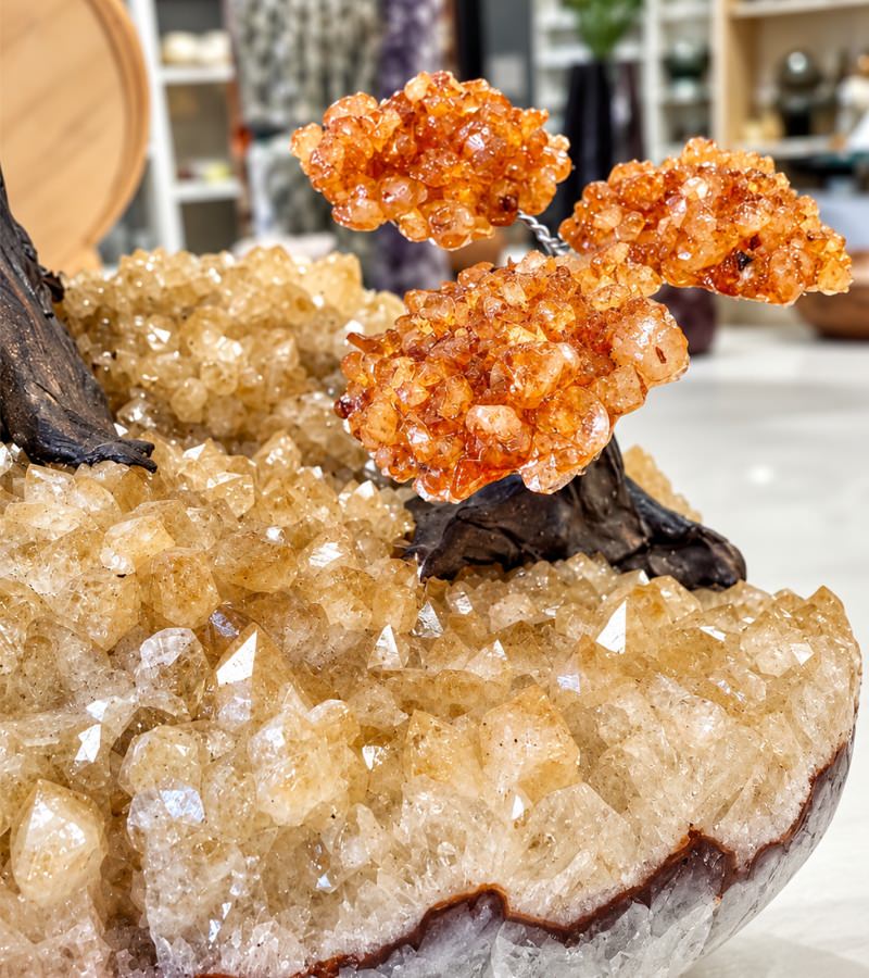 Close Up on Small Tree Duo Citrine Tree
