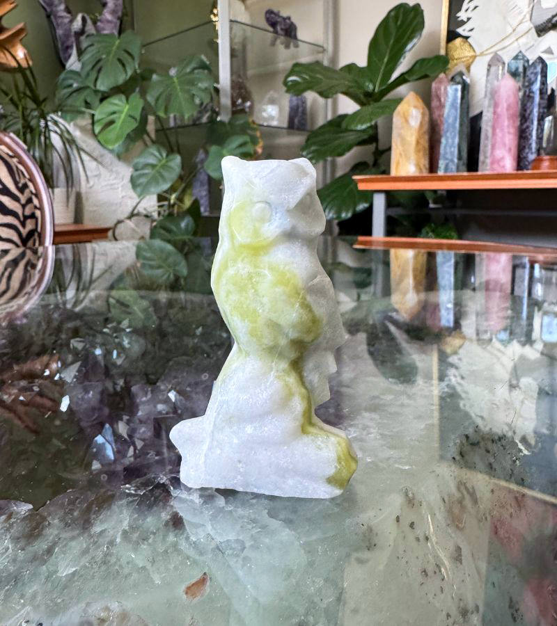 Serpentine Perched Owl