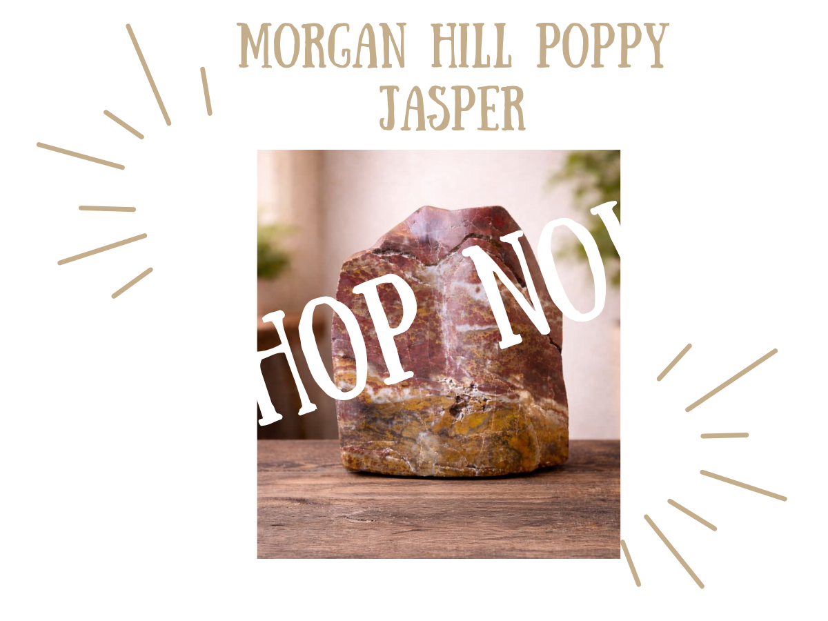 Morgan Hill Poppy Jasper featured Morgan Hill Poppy Jasper