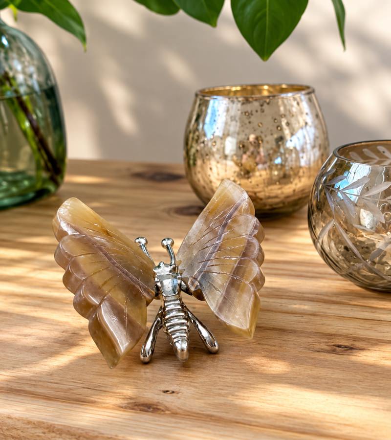 Butterfly Representing Transformation